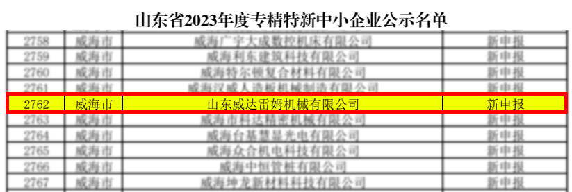 雷姆-专精特新